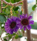 Purple Bloom Drop Earrings