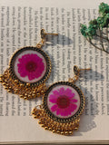 Resin Daisy Jhumka Earrings with Real Flowers